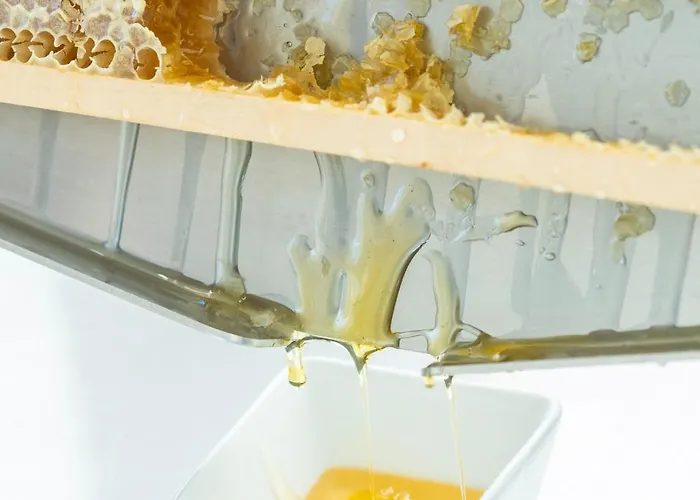 1552 Boutique 호텔