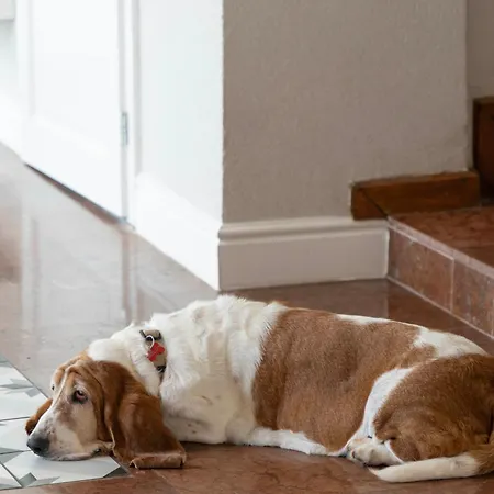 فندق 1552 Boutique إغير