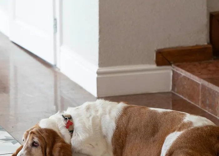 Hotel 1552 Boutique Eger